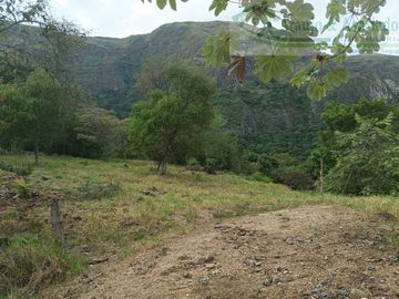 VENDEMOS FINCA GANADERA CON NACEDEROS DE AGUA Y CLIMA AGRADABLE.