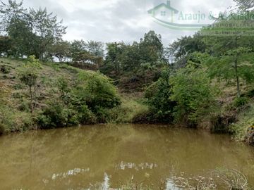 VENDEMOS FINCA GANADERA CON NACEDEROS DE AGUA Y CLIMA AGRADABLE.