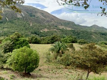 VENDEMOS FINCA GANADERA CON NACEDEROS DE AGUA Y CLIMA AGRADABLE.