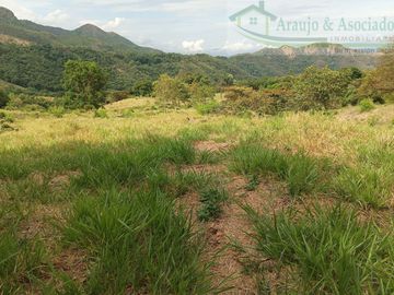 VENDEMOS FINCA GANADERA CON NACEDEROS DE AGUA Y CLIMA AGRADABLE.