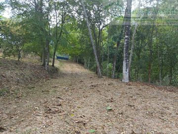 VENDEMOS FINCA GANADERA CON NACEDEROS DE AGUA Y CLIMA AGRADABLE.