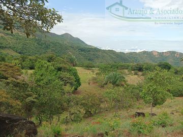 VENDEMOS FINCA GANADERA CON NACEDEROS DE AGUA Y CLIMA AGRADABLE.