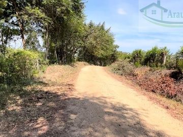 VENDEMOS FINCA GANADERA CON NACEDEROS DE AGUA Y CLIMA AGRADABLE.
