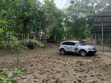 VENDEMOS FINCA GANADERA CON NACEDEROS DE AGUA Y CLIMA AGRADABLE.