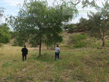 VENDEMOS FINCA GANADERA CON NACEDEROS DE AGUA Y CLIMA AGRADABLE.