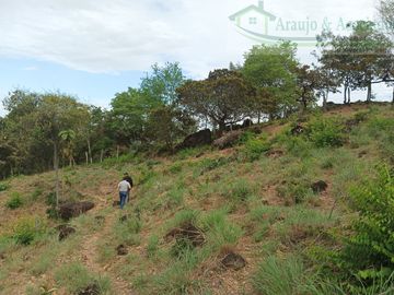 VENDEMOS FINCA GANADERA CON NACEDEROS DE AGUA Y CLIMA AGRADABLE.