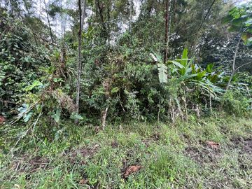 FINCA, QUINTA, HACIENDA, SECTOR SAN MIGUEL DE LOS BANCOS, MINDO, PEDRO VICENTE MALDONADO, PICHINCHA ECUADOR