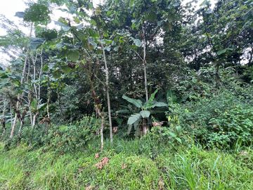FINCA, QUINTA, HACIENDA, SECTOR SAN MIGUEL DE LOS BANCOS, MINDO, PEDRO VICENTE MALDONADO, PICHINCHA ECUADOR