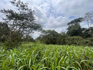 FINCA, QUINTA, HACIENDA, SECTOR SAN MIGUEL DE LOS BANCOS, MINDO, PEDRO VICENTE MALDONADO, PICHINCHA ECUADOR