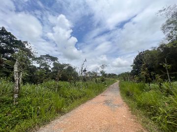 FINCA, QUINTA, HACIENDA, SECTOR SAN MIGUEL DE LOS BANCOS, MINDO, PEDRO VICENTE MALDONADO, PICHINCHA ECUADOR