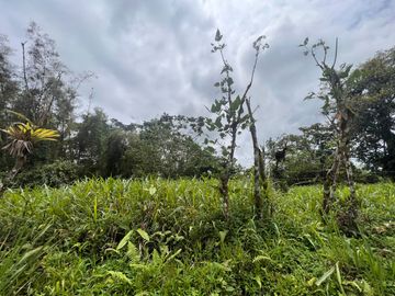 FINCA, QUINTA, HACIENDA, SECTOR SAN MIGUEL DE LOS BANCOS, MINDO, PEDRO VICENTE MALDONADO, PICHINCHA ECUADOR