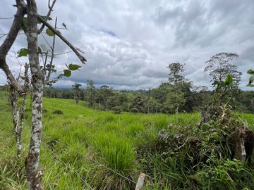FINCA, QUINTA, HACIENDA, SECTOR SAN MIGUEL DE LOS BANCOS, MINDO, PEDRO VICENTE MALDONADO, PICHINCHA ECUADOR