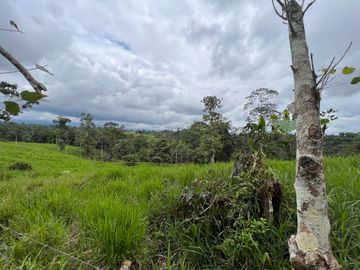 FINCA, QUINTA, HACIENDA, SECTOR SAN MIGUEL DE LOS BANCOS, MINDO, PEDRO VICENTE MALDONADO, PICHINCHA ECUADOR