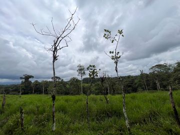 FINCA, QUINTA, HACIENDA, SECTOR SAN MIGUEL DE LOS BANCOS, MINDO, PEDRO VICENTE MALDONADO, PICHINCHA ECUADOR