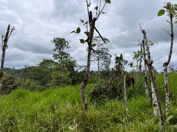 FINCA, QUINTA, HACIENDA, SECTOR SAN MIGUEL DE LOS BANCOS, MINDO, PEDRO VICENTE MALDONADO, PICHINCHA ECUADOR