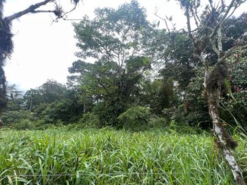 FINCA, QUINTA, HACIENDA, SECTOR SAN MIGUEL DE LOS BANCOS, MINDO, PEDRO VICENTE MALDONADO, PICHINCHA ECUADOR