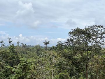 FINCA, QUINTA, HACIENDA, SECTOR SAN MIGUEL DE LOS BANCOS, MINDO, PEDRO VICENTE MALDONADO, PICHINCHA ECUADOR
