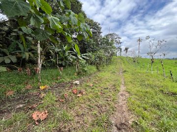 FINCA, QUINTA, HACIENDA, SECTOR SAN MIGUEL DE LOS BANCOS, MINDO, PEDRO VICENTE MALDONADO, PICHINCHA ECUADOR