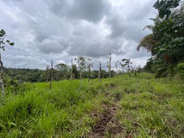 FINCA, QUINTA, HACIENDA, SECTOR SAN MIGUEL DE LOS BANCOS, MINDO, PEDRO VICENTE MALDONADO, PICHINCHA ECUADOR