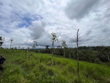 FINCA, QUINTA, HACIENDA, SECTOR SAN MIGUEL DE LOS BANCOS, MINDO, PEDRO VICENTE MALDONADO, PICHINCHA ECUADOR