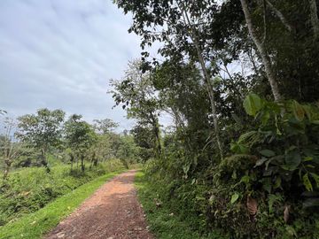 FINCA, QUINTA, HACIENDA, SECTOR SAN MIGUEL DE LOS BANCOS, MINDO, PEDRO VICENTE MALDONADO, PICHINCHA ECUADOR