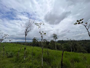 FINCA, QUINTA, HACIENDA, SECTOR SAN MIGUEL DE LOS BANCOS, MINDO, PEDRO VICENTE MALDONADO, PICHINCHA ECUADOR