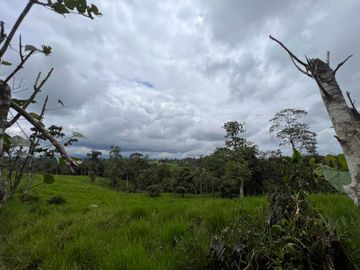 FINCA, QUINTA, HACIENDA, SECTOR SAN MIGUEL DE LOS BANCOS, MINDO, PEDRO VICENTE MALDONADO, PICHINCHA ECUADOR