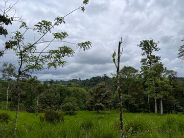 FINCA, QUINTA, HACIENDA, SECTOR SAN MIGUEL DE LOS BANCOS, MINDO, PEDRO VICENTE MALDONADO, PICHINCHA ECUADOR