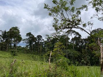 FINCA, QUINTA, HACIENDA, SECTOR SAN MIGUEL DE LOS BANCOS, MINDO, PEDRO VICENTE MALDONADO, PICHINCHA ECUADOR