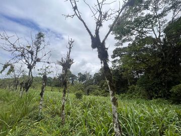FINCA, QUINTA, HACIENDA, SECTOR SAN MIGUEL DE LOS BANCOS, MINDO, PEDRO VICENTE MALDONADO, PICHINCHA ECUADOR