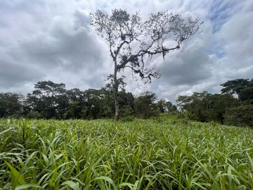 FINCA, QUINTA, HACIENDA, SECTOR SAN MIGUEL DE LOS BANCOS, MINDO, PEDRO VICENTE MALDONADO, PICHINCHA ECUADOR