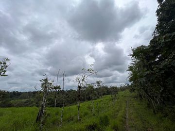 FINCA, QUINTA, HACIENDA, SECTOR SAN MIGUEL DE LOS BANCOS, MINDO, PEDRO VICENTE MALDONADO, PICHINCHA ECUADOR