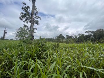 FINCA, QUINTA, HACIENDA, SECTOR SAN MIGUEL DE LOS BANCOS, MINDO, PEDRO VICENTE MALDONADO, PICHINCHA ECUADOR