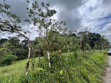 FINCA, QUINTA, HACIENDA, SECTOR SAN MIGUEL DE LOS BANCOS, MINDO, PEDRO VICENTE MALDONADO, PICHINCHA ECUADOR