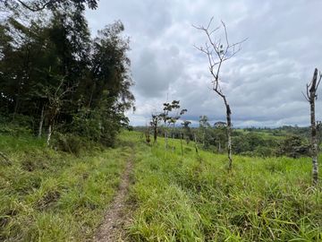 FINCA, QUINTA, HACIENDA, SECTOR SAN MIGUEL DE LOS BANCOS, MINDO, PEDRO VICENTE MALDONADO, PICHINCHA ECUADOR