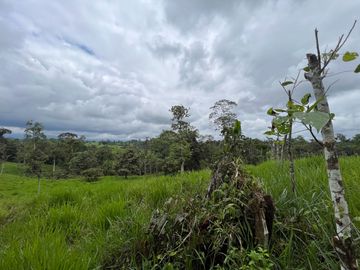 FINCA, QUINTA, HACIENDA, SECTOR SAN MIGUEL DE LOS BANCOS, MINDO, PEDRO VICENTE MALDONADO, PICHINCHA ECUADOR