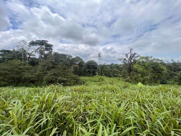FINCA, QUINTA, HACIENDA, SECTOR SAN MIGUEL DE LOS BANCOS, MINDO, PEDRO VICENTE MALDONADO, PICHINCHA ECUADOR