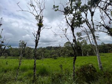 FINCA, QUINTA, HACIENDA, SECTOR SAN MIGUEL DE LOS BANCOS, MINDO, PEDRO VICENTE MALDONADO, PICHINCHA ECUADOR