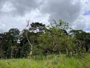 FINCA, QUINTA, HACIENDA, SECTOR SAN MIGUEL DE LOS BANCOS, MINDO, PEDRO VICENTE MALDONADO, PICHINCHA ECUADOR
