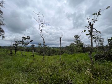 FINCA, QUINTA, HACIENDA, SECTOR SAN MIGUEL DE LOS BANCOS, MINDO, PEDRO VICENTE MALDONADO, PICHINCHA ECUADOR