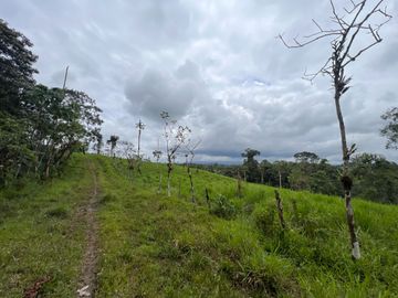 FINCA, QUINTA, HACIENDA, SECTOR SAN MIGUEL DE LOS BANCOS, MINDO, PEDRO VICENTE MALDONADO, PICHINCHA ECUADOR