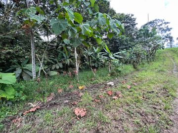 FINCA, QUINTA, HACIENDA, SECTOR SAN MIGUEL DE LOS BANCOS, MINDO, PEDRO VICENTE MALDONADO, PICHINCHA ECUADOR