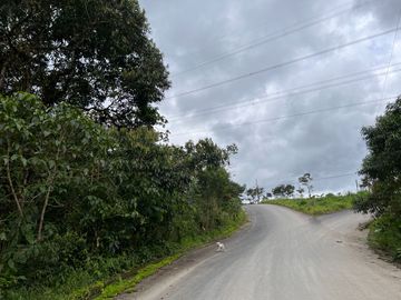 FINCA, QUINTA, HACIENDA, SECTOR SAN MIGUEL DE LOS BANCOS, MINDO, PEDRO VICENTE MALDONADO, PICHINCHA ECUADOR