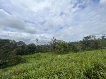 FINCA, QUINTA, HACIENDA, SECTOR SAN MIGUEL DE LOS BANCOS, MINDO, PEDRO VICENTE MALDONADO, PICHINCHA ECUADOR