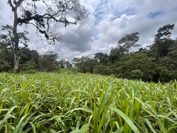 FINCA, QUINTA, HACIENDA, SECTOR SAN MIGUEL DE LOS BANCOS, MINDO, PEDRO VICENTE MALDONADO, PICHINCHA ECUADOR