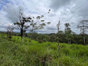 FINCA, QUINTA, HACIENDA, SECTOR SAN MIGUEL DE LOS BANCOS, MINDO, PEDRO VICENTE MALDONADO, PICHINCHA ECUADOR