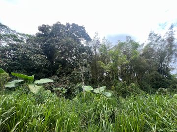 FINCA, QUINTA, HACIENDA, SECTOR SAN MIGUEL DE LOS BANCOS, MINDO, PEDRO VICENTE MALDONADO, PICHINCHA ECUADOR