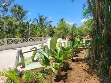 500 SQM LOT FOR SALE IN CAVITE