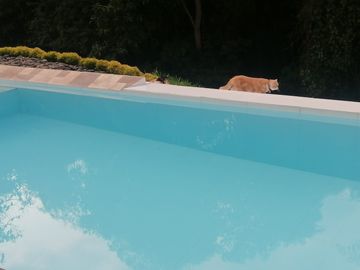 Casa en Cerritos - El Tigre
