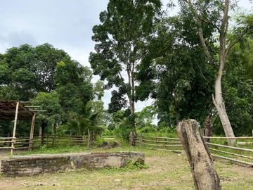 finca de venta en chone